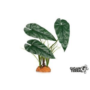 PLANTE EFFET MOUILL1 845 30 X 16 X 48 CM