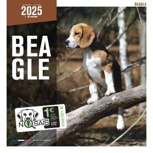 CALENDRIER BEAGLE 2025