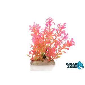 PLANTE SUR PIED 12 CM 519