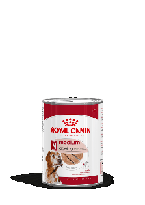 MEDIUM AGEING CAN EN MOUSSE 410 GR
