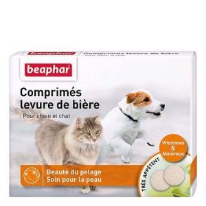 LEVURE DE BIERE CHIEN/CHAT