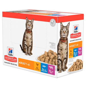 FELINE ADULT MULTIPACK X12