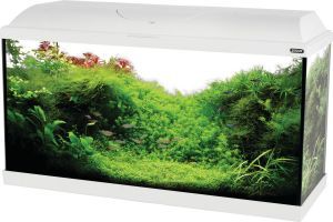 AQUARIUM ISEO 80 LED BLANC