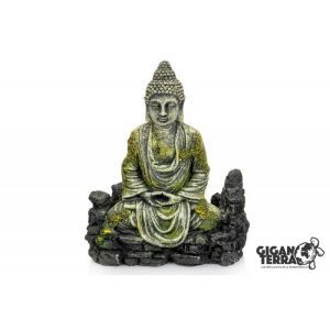 BOUDDHA 14 x 7 x 17 cm