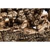 BATEAU SKULL 790