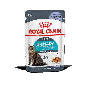 URINARY CARE CHAT GELEE ROYAL CANIN X 1