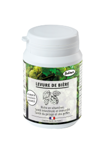 POUDRE LEVURE DE BIERE 60 GR