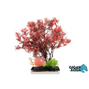 PLANTE SUR PIED 24 CM 544