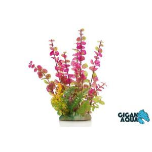 PLANTE SUR PIED 24 CM 549