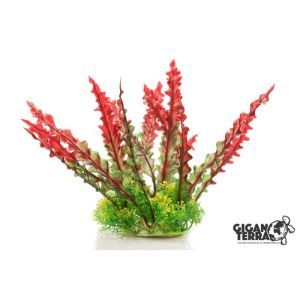PLANTE SUR PIED 18/22 CM 536